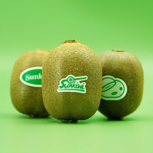 眉縣大氣農(nóng)場 數(shù)字獼猴桃專業(yè)合作社以集約化管理推動(dòng)品牌分紅與銷售升級(jí)