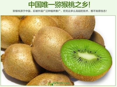 【預售開啟】2015年度優質徐香獼猴桃，邀您搶先品嘗金秋碩果