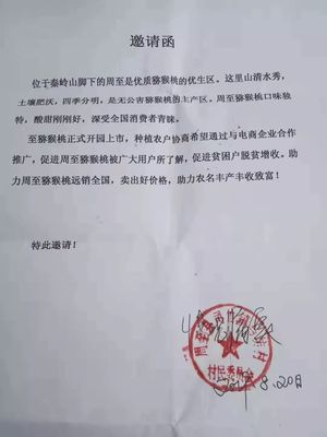 愛心傳遞周至 40萬斤獼猴桃滯銷待援，無聲老人與留守兒童的期盼