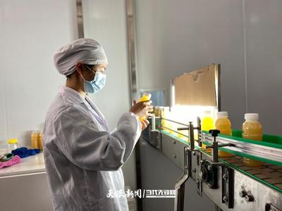 六盤水 產業轉型蹄疾步穩，獼猴桃變身“致富果”